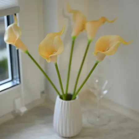 Apartament In Koeln-messe *