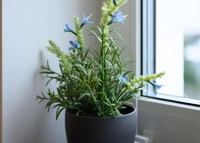 In Köln-messe Köln