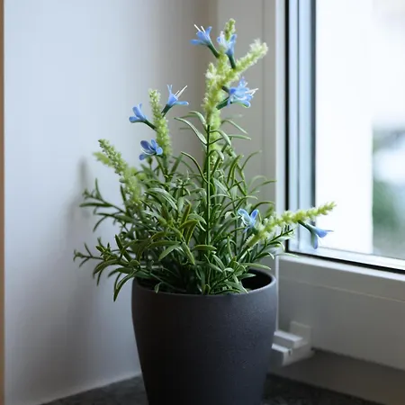 In Koeln-messe Κολωνία