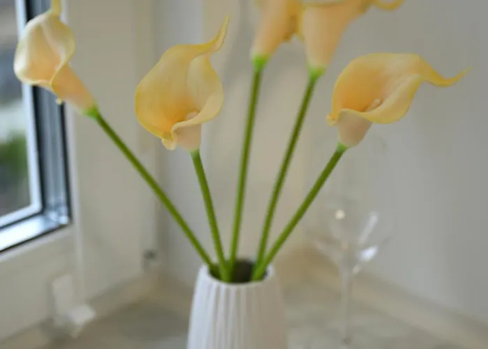 Apartmán In Koeln-messe *